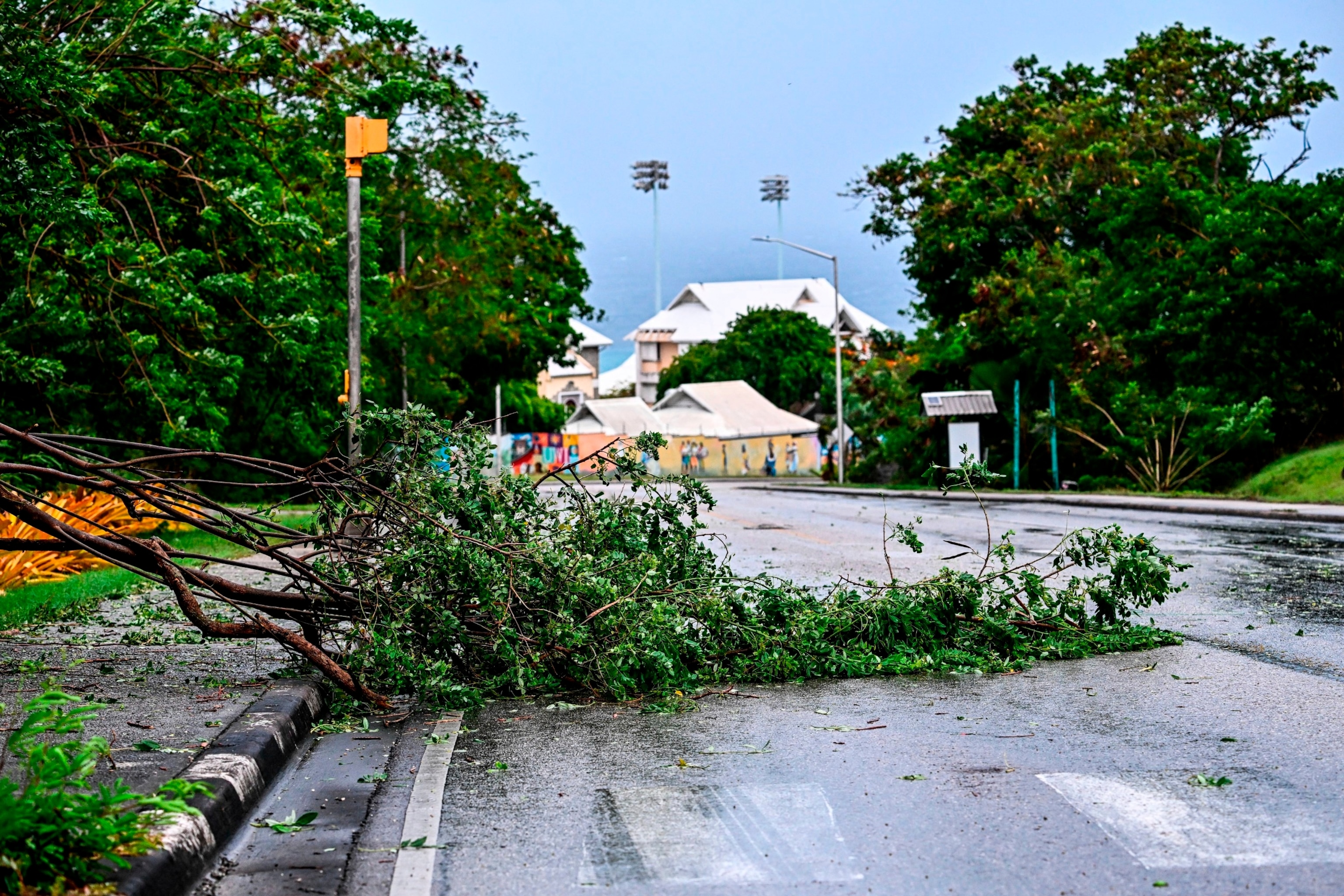 PHOTO:A tree is seen fallen on the street as hurricane Beryl passes near to Bridgetown, Barbados on July 1, 2024.